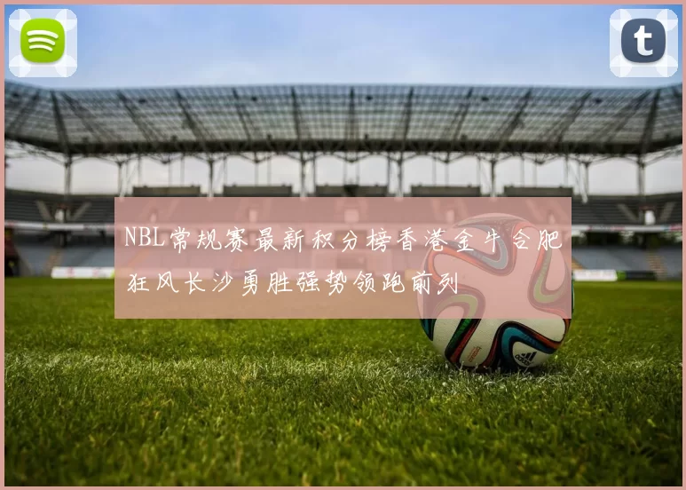 NBL常规赛最新积分榜香港金牛合肥狂风长沙勇胜强势领跑前列