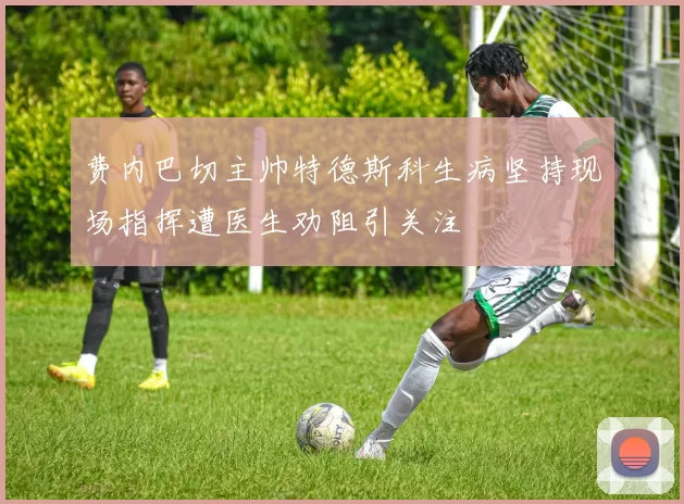 费内巴切主帅特德斯科生病坚持现场指挥遭医生劝阻引关注